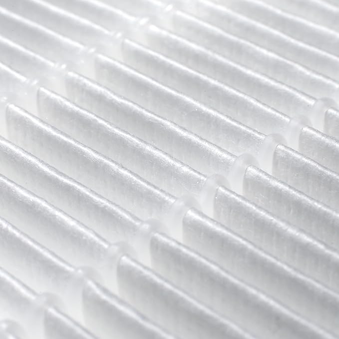 Winix Genuine Replacement Filter R for T810 Air Purifier
