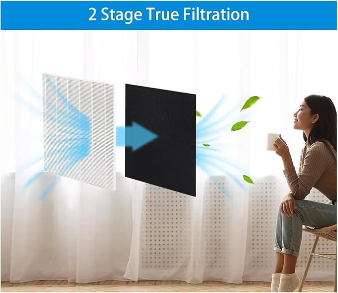 Replacement Filter ，Compatible For Winix， D480 Air Purifier, 1 + 1Activated Carbon Filters, Compatible With D4, Part #1712-0100-00