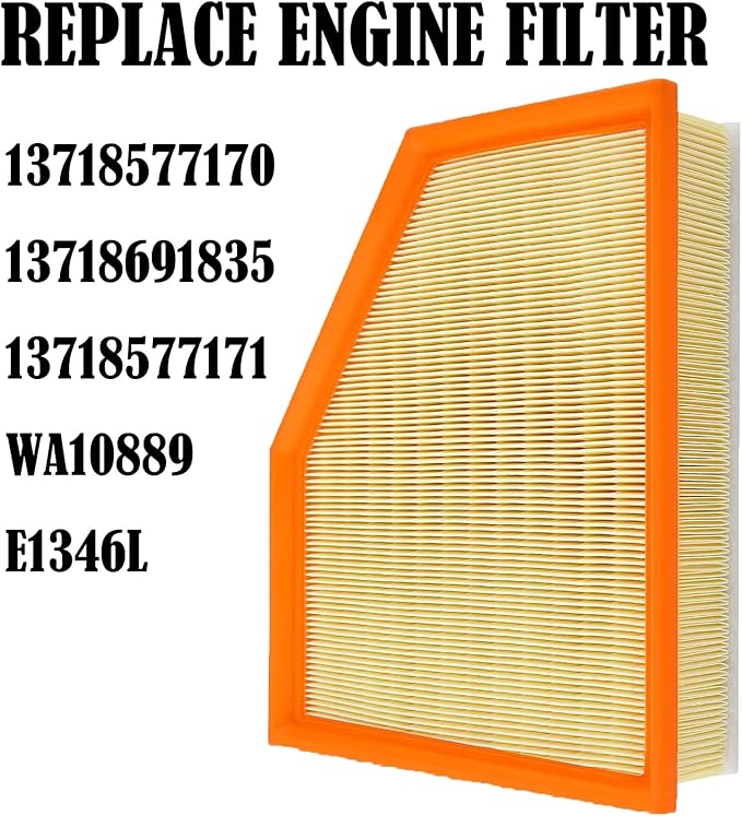 Engine Cabin Air Filters Compatible with BMW X5 X7 X6 BMW5 530i 540i 530e 740i 745e 745Le xDrive 840i Gran Coupe xDrive BMW Engine Cab AC Air Filtration 13718577170 64119366401 64115A1BDB6