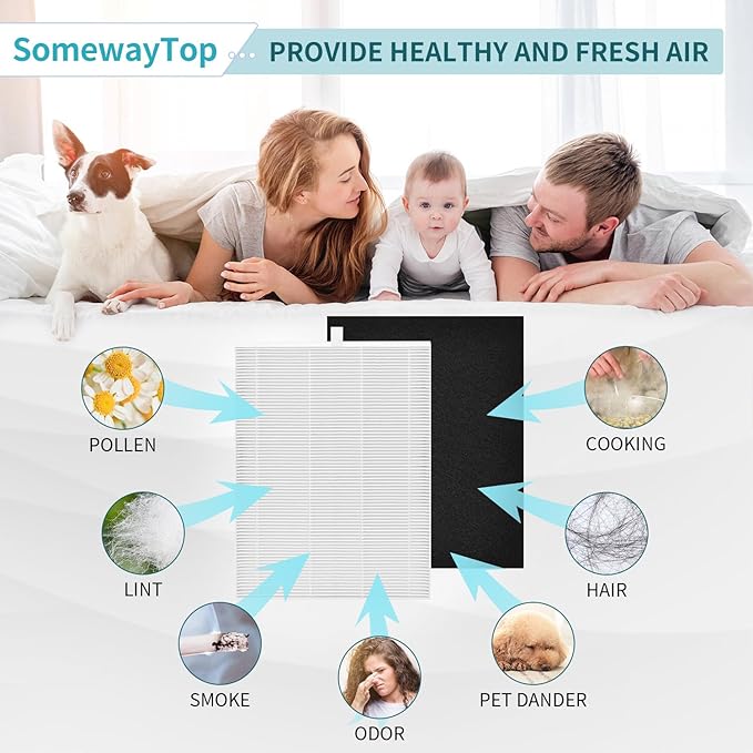 AP-1216L Filter Replacement Pack Compatible with Coway Airmega AP-1216 Air Purifier Filters, Compares to Part # ‎AP-1216-FP, Include 2 Efficient Filter and 4 Carbon Pre-Filter