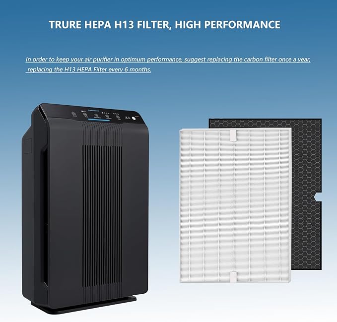 2 Set 116130 Replacement Filter H True HEPA Compatible with Winix 5500-2 and AM80 Air Purifier, (2 Pack HEPA Filter+2 Pack Activated Carbon Filter)