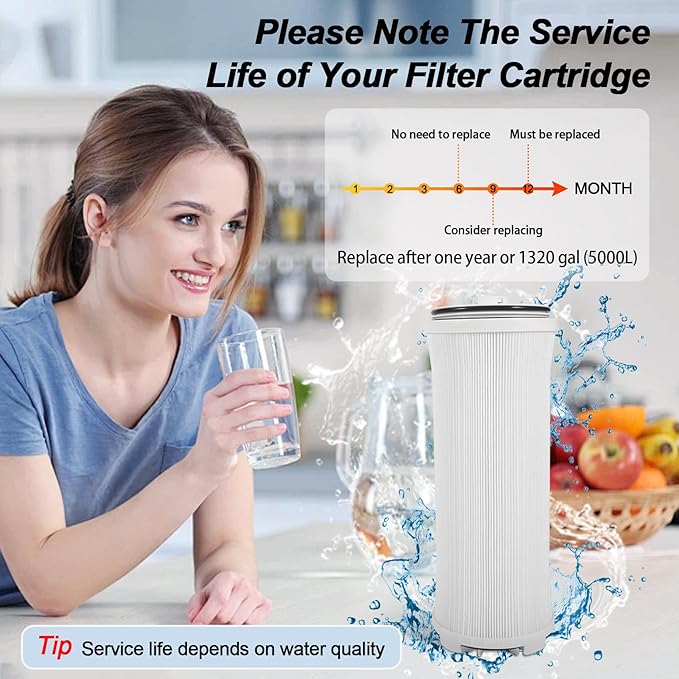 122943 E3 Carbon Filter Compatible with Amway eSpring Water Purifier（122940, 122941, 122942, 127721, 122940CA, 122941CA, 122942CA）, Made From Natural Fibers and PP Material. Ensures Your Water Safety.