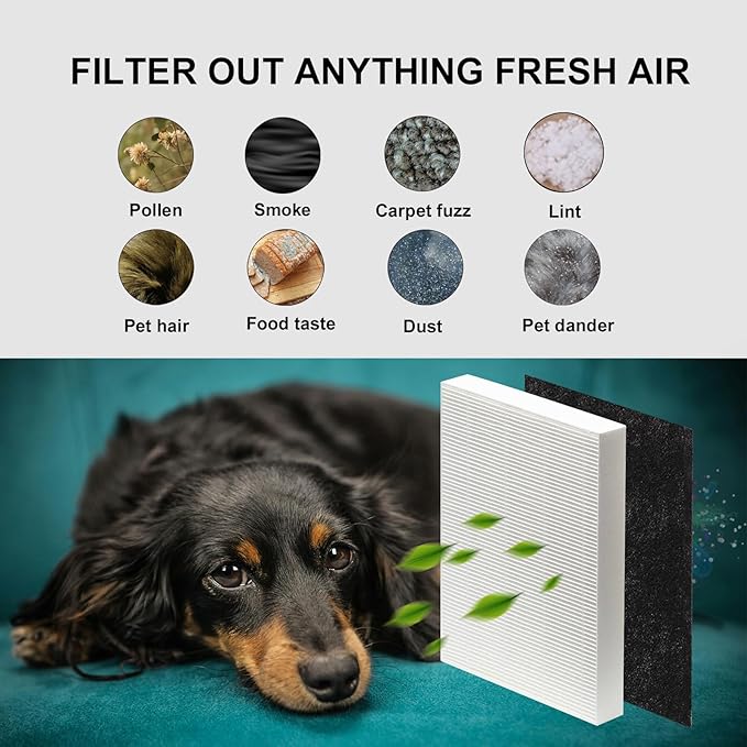 1216L H13 True HEPA Replacement Filter, Compatible with Coway AP-1216L, 2 Stages with H13 True HEPA and Activated Carbon Filter Set (2 Pack)