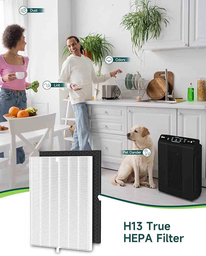 Future Way 2-Set 5500-2 Air Purifier Replacement Filter for Winix 5500-2, H13 True HEPA Filter & Activated Carbon Filter Kit, Replace 116130 Filter H