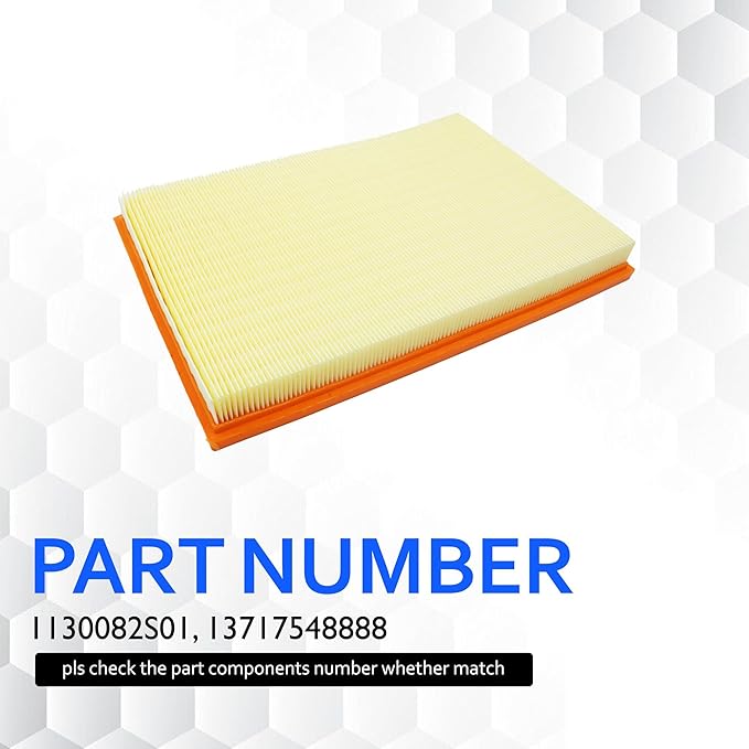CA10675 Engine Air Filter Compatible with BMW E70 Series X5 2007 2008 2009 2010 L6 3.0L Replacement for 13717548888
