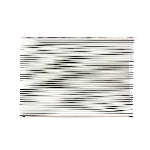 AprilAire 501 Replacement Filter for AprilAire 5000 Whole-House Air Purifier - MERV 15 Equivalent, 16x25x6 Air Filter (Pack of 10)