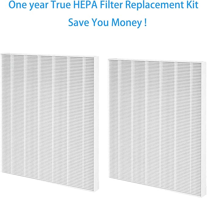 2 Pack True HEPA D4 Replacement Filters Compatible with Winix D480 Air Purifier, Item Number 1712-0100-00, Filter D4