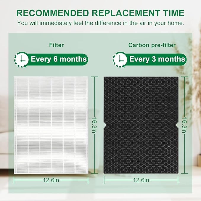 116130 Filter H Replacement for Winix 5500-2 Air Purifier and Models AM80-2, Includes 1 Pack Ture Filters and 1 Pack Activated Carbon Pre-filters (1 Sets)