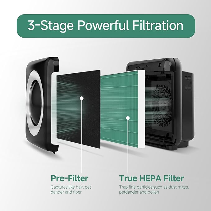 2-Pack AP-1512HH Replacement Filter, Compatible with Coway AP-1512HH Mighty Purifier, Part# 3304899, with 8 Extra Carbon Filters-Green Version