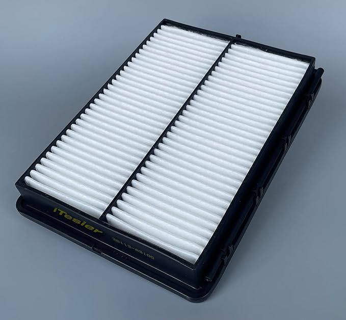 Engine Cabin Air Filter kit for Sorento 2020 2019 2018 2017 2016, Replaces 97134-C6900, C6C79-AC000, CF12161, WP10370, 28113-A9100 pack of 2