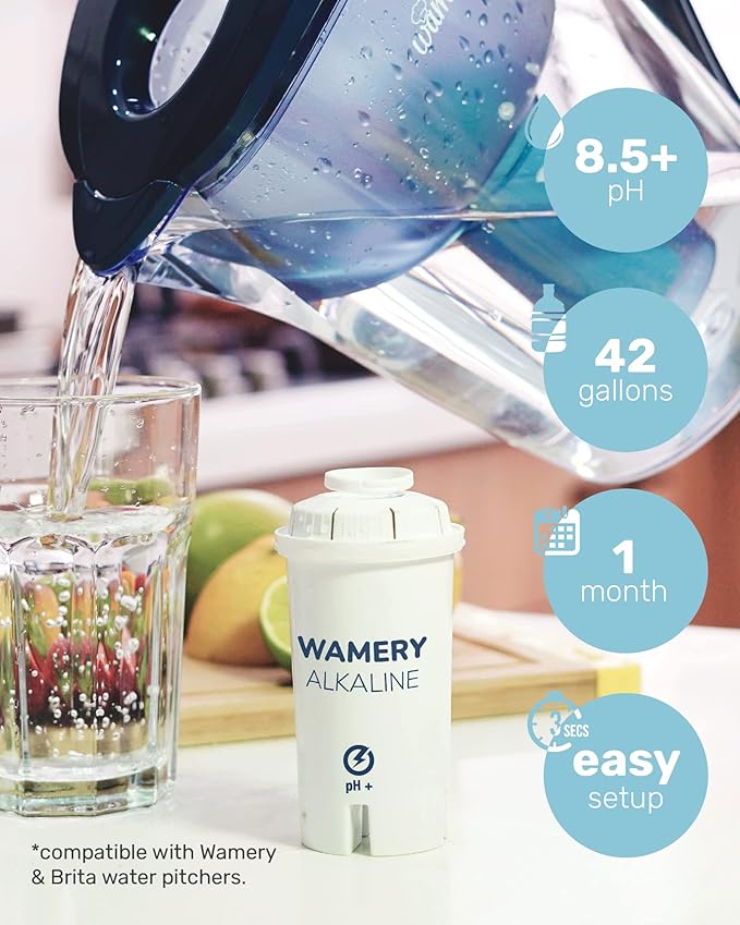 Wamery Alkaline Pitcher Water Filter Replacement - Single Filter, Improves pH & Taste, 42-Gallon Capacity, Coconut Activated Carbon with Mineral Layer, Leak-Free Fit, Easy Install, BPA-Free