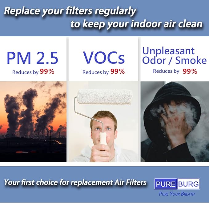 PUREBURG Replacement Filter Compatible with Afloia Q10 Air Purifier & Dehumidifier 2-in-1, 3-Pack H13 HEPA Activated Carbon 2-in-1 3-Stage Filtration Air Clean