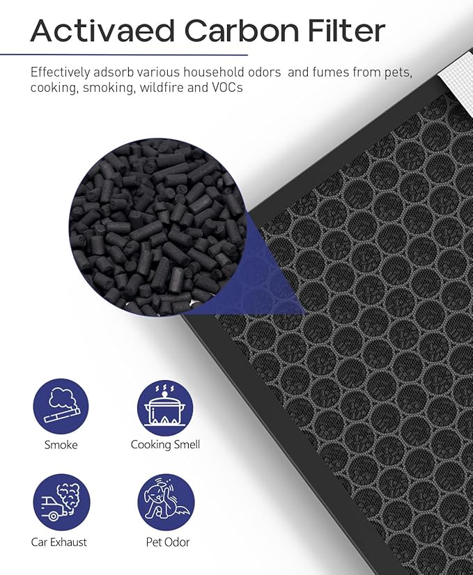 116130 Replacement Filter H Compatible with Winix 5500-2 Plasmawave Air Puri-Fier and Models Am80, Include 2 True HEPA Filter H and 2 Activated Carbon Pre-Filters