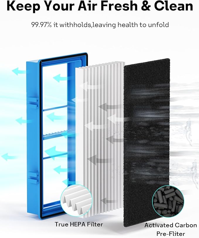Leemone Aer1 Filter Replacement for Holmes Air Purifiers, 2 True HEPA Filters + 4 Carbon Booster Filters, HAPF30AT