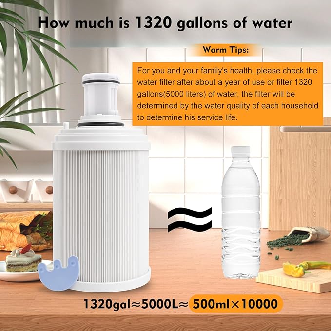 100186 Water Filter + Pre-Filter Compatible with Amway eSpring Water Purifier, 4 Times High Efficiency Pre-Filter Layer Adsorbs Harmful Element, Make Water healthier. Lasts 1 Year or Filters 1320 gal
