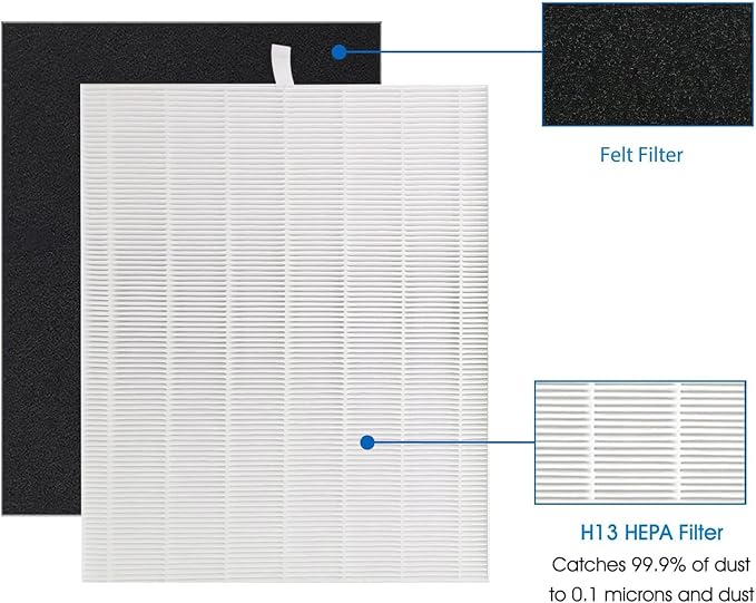 D480 Replacement Filter D4, Compatible with Winix D480 Air Purifier, Includes 2 pcs H13 Grade True HEPA and 8 pcs Activated Carbon Filters, D4 Filter Part Number 1712-0100-00