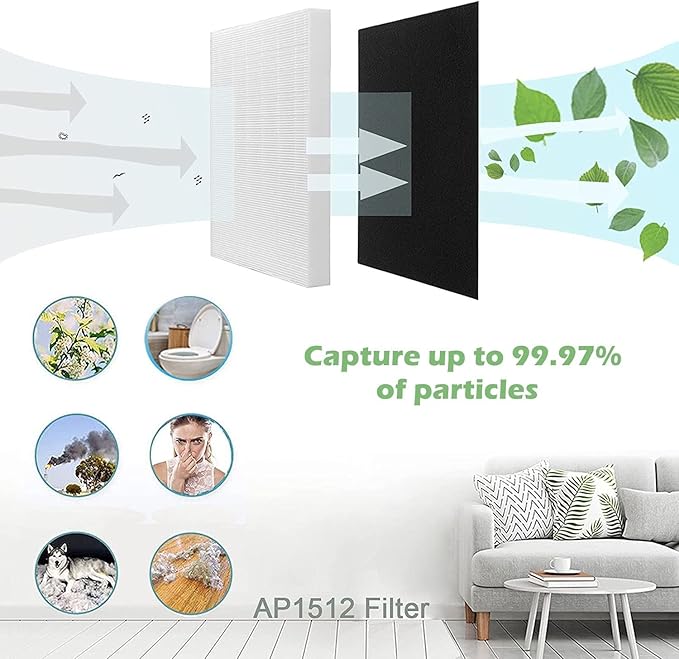 Goodsby 2 Pack Replacement H13 True HEPA Filters Pack for Coway Air Purifier AP1512HH AP-1512HH-FP AP-1518R AP-1519P and Airmega 200M, 2x True HEPA Filters and 8x Activated Carbon Pre Filters (1)