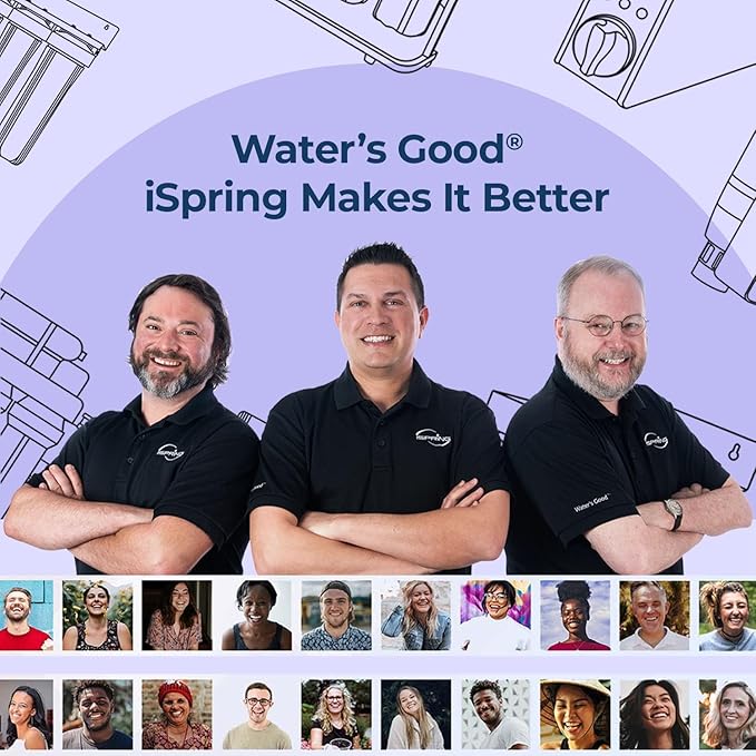 iSpring F3WGB31BPFKDS Whole House Water Filter Replacement Pack, SGS-Tested, Reduces PFAS, Scale, Heavy Metals, Chlorine, Corrosion, Taste & Odor, Up to 12 Months, 4.5” x 10”, Fits WGB31B-PFKDS