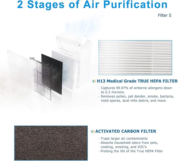 Flintar C545 Replacement Filter S, Made in TAIWAN, Compatible with Winix C545 Air Purifier, Compares to Winix S Filter 1712-0096-00, H13 Grade Air Filter + (4) Activated Carbon Filters