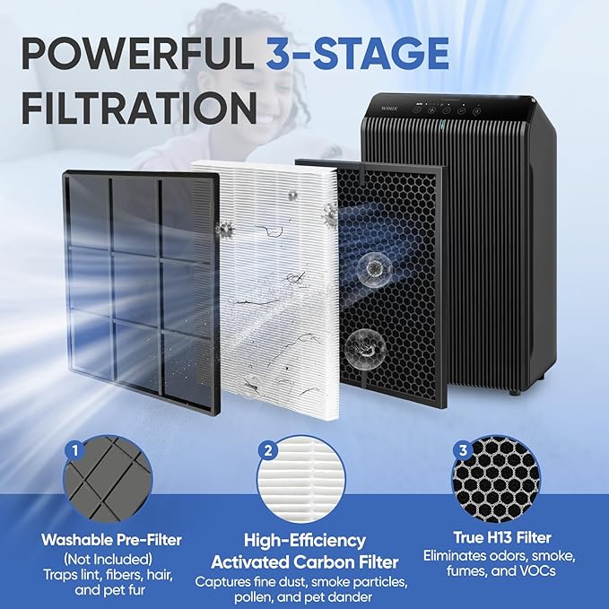 5510 5520 Replacement Filter Q Compatible with Winix 5510 and 5520 Air Purifier, Includes 2 Pack H13 Filter and 2 Pack Carbon Filter, Part# 1712-0123-00
