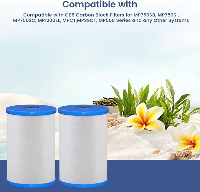 HG-CB6 CB6 Carbon Block Water Filter Replacement Compatible with Hydronix HG-CB6 Hydro Guard Filter and MP and MPC System 0.5 μ, 4.5" D x 6.5" H 2 Packs