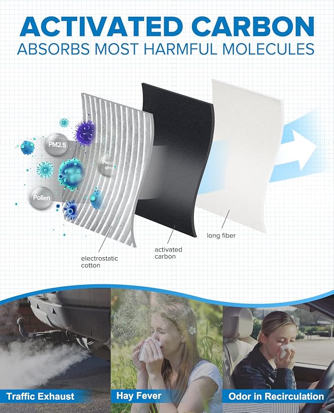 PHILTOP Cabin Air Filter w/Activated Carbon, Compatible with CF10381 Hyundai Sonata 2006-2010, Santa Fe 2007-2009, Azera 2006-2008, Kia Carnival 2022-2026, Optima 2006-2010