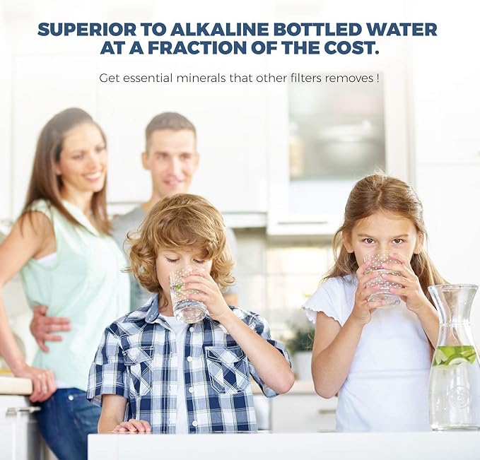 PREMIER 6 Stage- Inline Alkaline | KDF | Antioxidant Mineral pH Balancing Drinking Water Filter | 2"x 10"