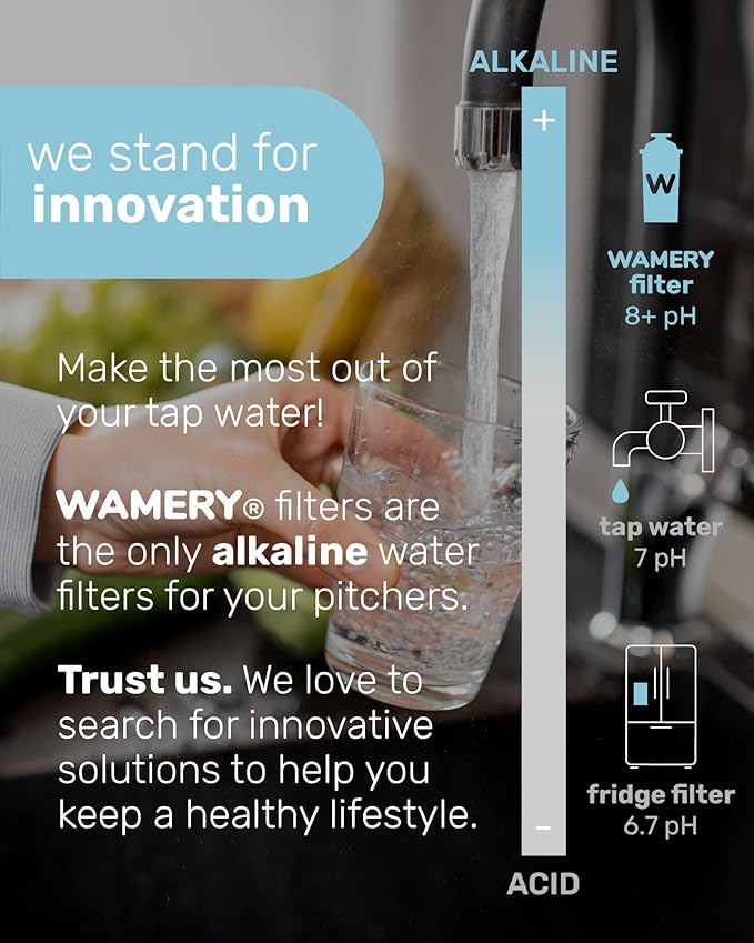 Wamery Alkaline Pitcher Water Filter Replacement - Single Filter, Improves pH & Taste, 42-Gallon Capacity, Coconut Activated Carbon with Mineral Layer, Leak-Free Fit, Easy Install, BPA-Free