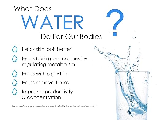 Multipure Aquaversa Below Sink Water Purification Unit, Chlorine Reduction, NSF Certified, Stainless Steel