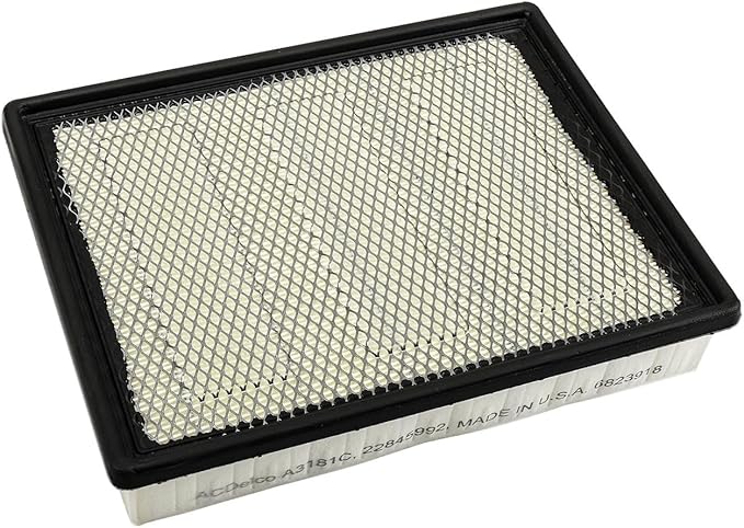 ACDelco GM Original Equipment A3181C (22845992) Air Filter