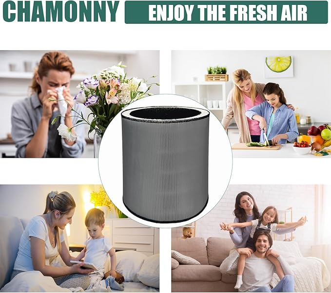 C610 Replacement Filter Z, Compatible with Win-ix C610 Air Purifier, 1712-0121-00, Z Filters, 3-in-1 H13 Grade True HEPA Filter, 2 Pack