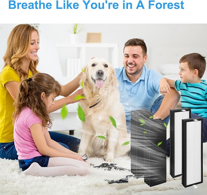 2+8 Set HFD300 Filter Replacement-Compatible with Honeywell Air Genius 3,4,5,6 Series Air Cleaner Purifier,Part#HFD300,HFD310,HFD360,HFD314,HFD323CV1,HFD320 Replacement Filter.