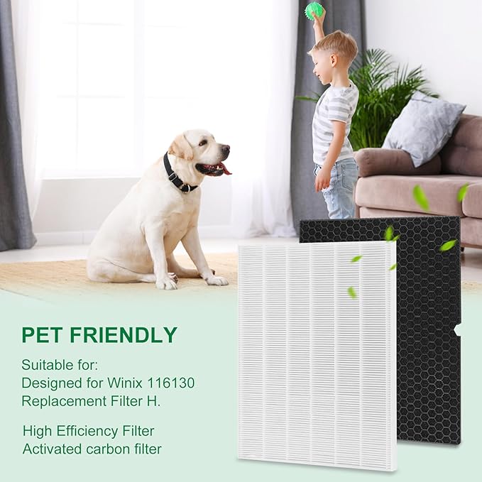 116130 Filter H Replacement for Winix 5500-2 Air Purifier and Models AM80-2, Includes 1 Pack Ture Filters and 1 Pack Activated Carbon Pre-filters (1 Sets)