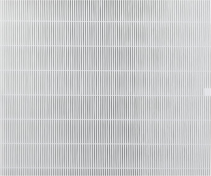 Genuine Winix 113250 Replacement Filter E for P450, White/Black