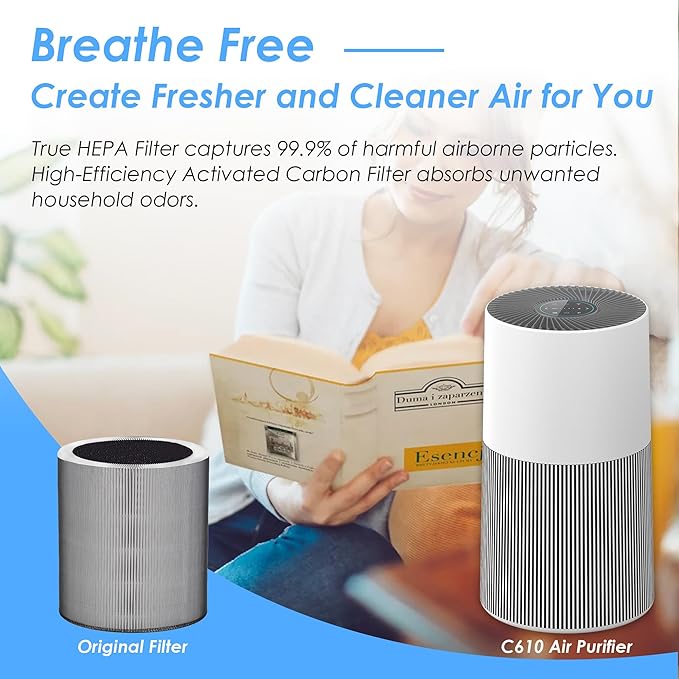 Flintar C610 Replacement Filter Z, Made in Taiwan, Compatible with Winix C610 Air Purifier, 1712-0121-00, 3-in-1 H13 True HEPA with Activated Carbon and Pre-Filter, 2-Pack