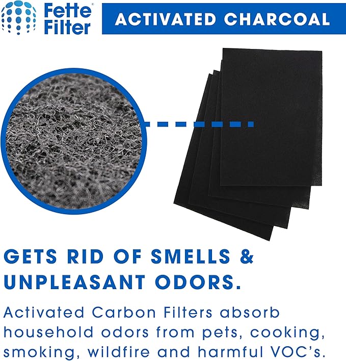 Fette Filter - D360 Premium Replacement Filter D3 Compatible with Winix D360 Air Purifier Part Number 1712-0101-02, 1712010102 Qty 2 and 8 Activated Carbon Filter