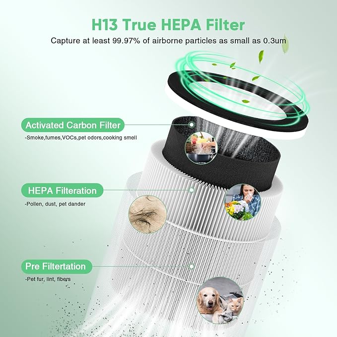 DAYETTE AP203 Replacement H13 HEPA Air Filter Air Purifier AP203, Smoke Wildfire Filter