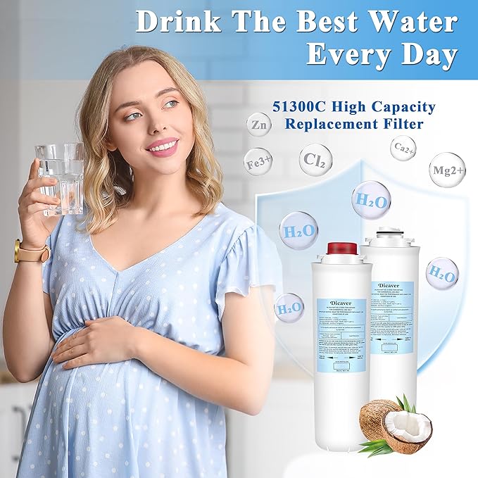51300C Filters, Replacement for Elkay 51300C EWF3000 Filter By NSF/ANSI 42 Certified,Compatible with Ezh2o Filter Replacement Bottle Stations, 51300C 3000 Gallon (No Chip)