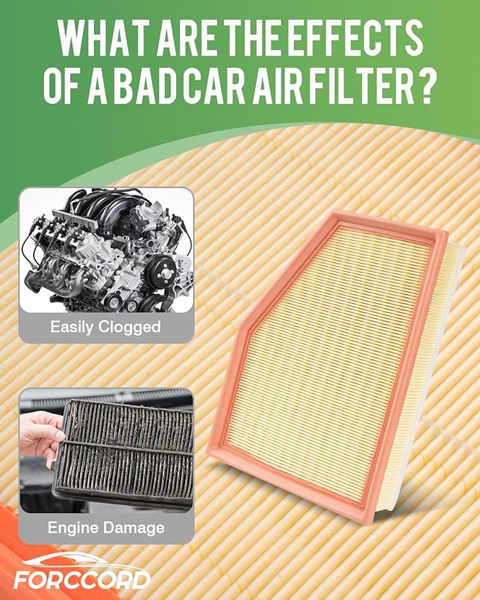Cabin & Engine Air Filter Fit for 2018-2019 X3 (XDrive30i / SDrive30i / M40i), 2020-2021 X3 (XDrive30i / SDrive30i); 2019 X4, 2020-2022 X4 (XDrive30i) Replacement 64119382885 13718577170