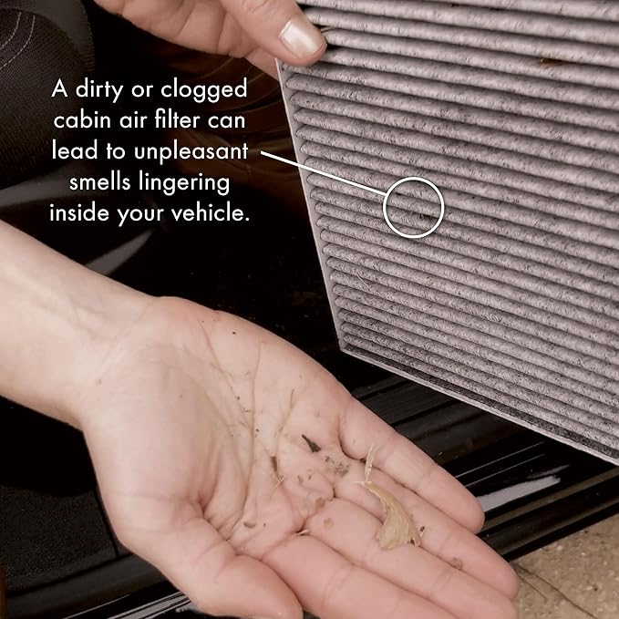 PureFlow Cabin Air Filter PC99239X | Fits 2019-2024 Kia Forte, 2021-2024 Hyundai Creta, 2024 Kia K3, 2020-2024 Forte5, 2017-2020 Elantra, 2018-2023 Kia Rio