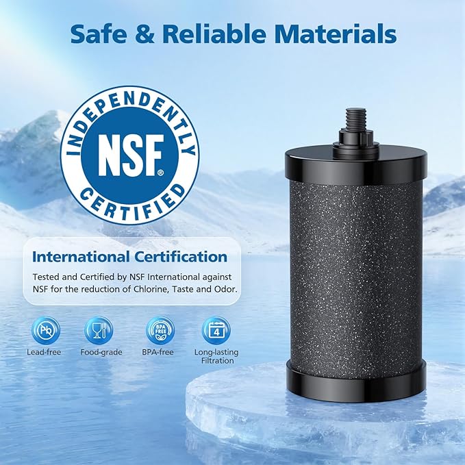 2387 Pro Filter Replacement, NSF Certified for Alexapure 2387 Pro Water Filter, 5,000 Gallon Throughput Capacity Compatible with Alexapure Pro Water Filtration System, 2 Pack Black