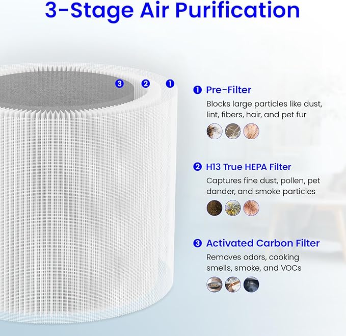 Future Way 2-Pack TP01 TP02 Filter Replacement Kit for Dyson Pure Cool Air Purifier, H13 True HEPA Filter, Replace Part 968126-03