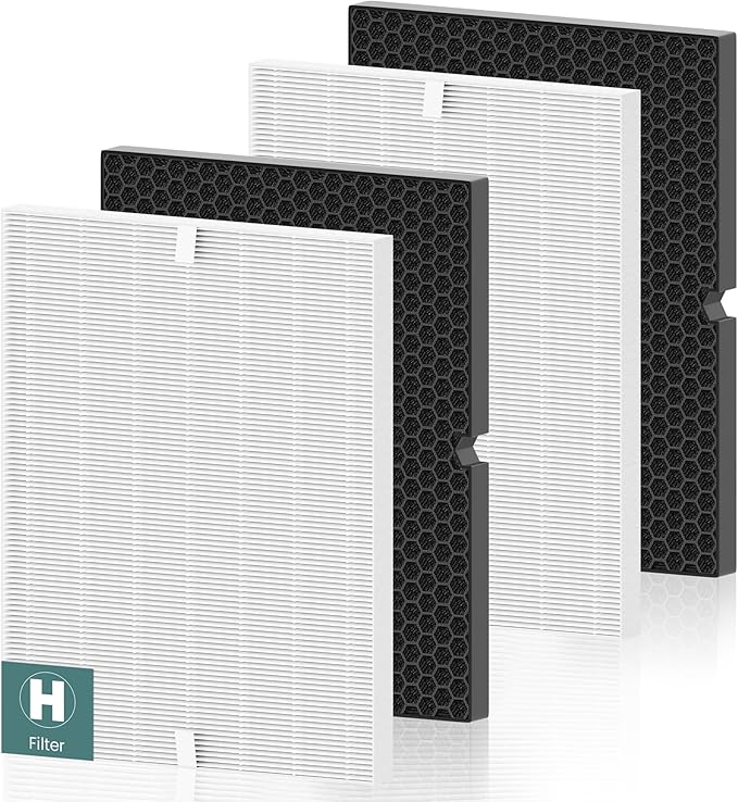 116130 Replacement Filter H for Winix 5500-2 AM80 Plasmawave Air Purifier, Includes 2 Pack Filter H and 2 Pack Activated Carbon Filter