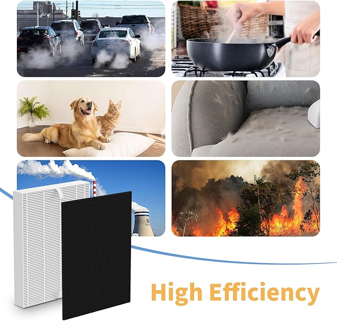 AP-1216-FP H13 True Replacement Filters Compatible with Coway AP-1216L Tower True HEPA Air Cleaner Purifier, 2 H13 True HEPA Filters and 4 Activated Carbon Pre-filters