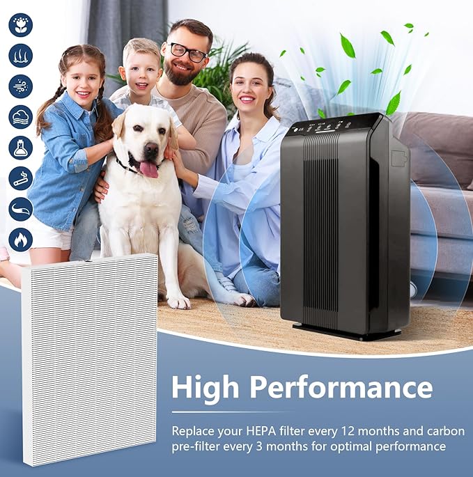 Colorfullife 3 Pack 115115 True HEPA Filter A for Winix PlasmaWave 5300-2, C535, P300, 6300-2, 5300, 9000 Air Purifier