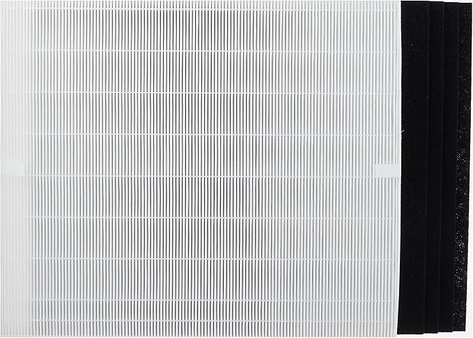 Genuine Winix 113250 Replacement Filter E for P450, White/Black