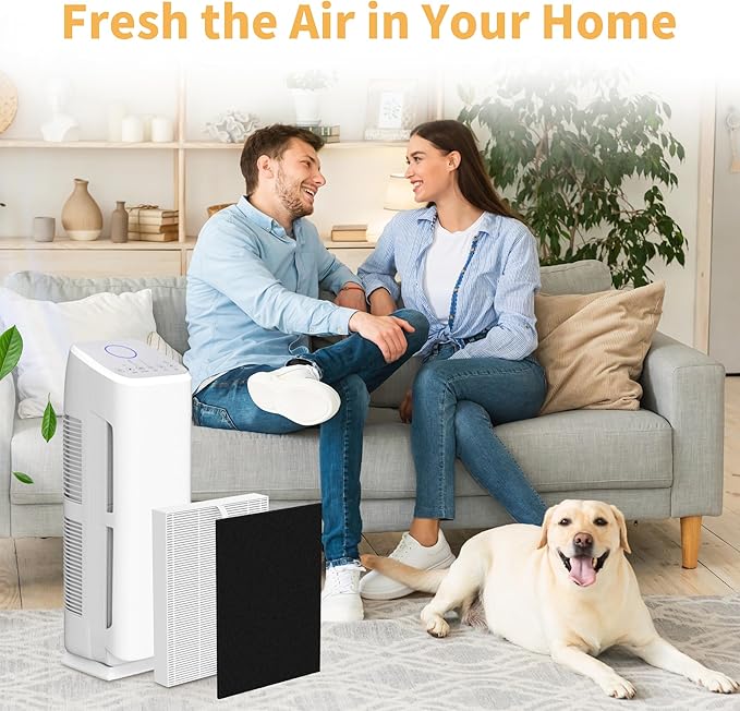 4Pcs 2Sets AP-1216-FP Repacement Filter Compatible with Coway AP-1216L Air Cleaner Purifier