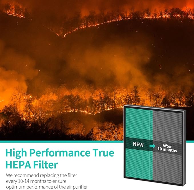 Airmega 250 Replacement Filters Compatible with Coway Airmega 250 250S Air Purifier Max2 True HEPA and Activated Carbon Filters, AP-1720-FP 2-Pack