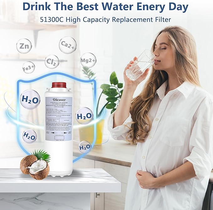 51300C Filters 9", Replacement for Elkay 51300C EWF3000 Filter NSF/ANSI 42 Certified, Compatible with Ezh2o Filter Replacement Bottle Stations,High Capacity 51300C 3000 Gallon(No Chip)Pack of 2