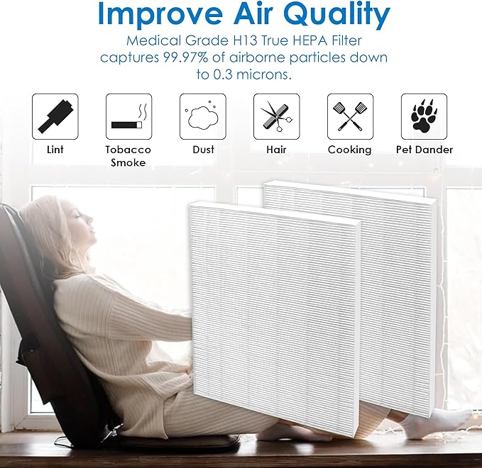 Flintar 115115 Filter A, Made in Taiwan, Compatible with Winix Air Purifier C535, C909, 5300, 6300, P300, H13 Grade Replacement Filters, 2-Pack